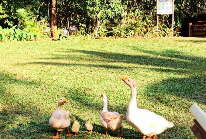 The Orchard Resort Belgaum Dış mekan fotoğraf